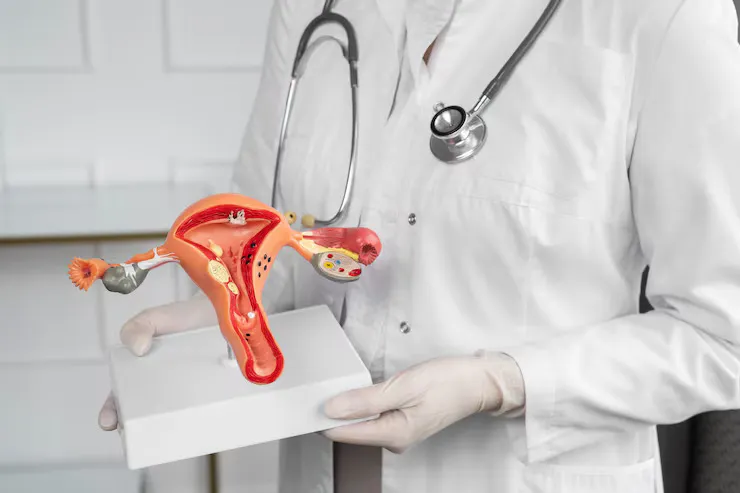 female-urology