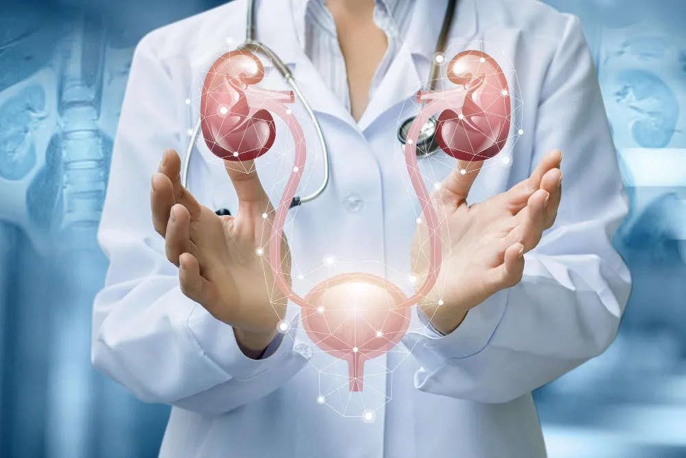 what is urology